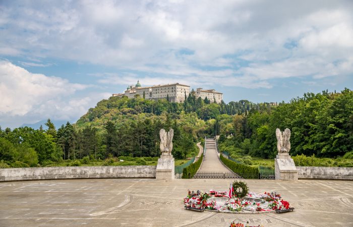 _MG_6785 _MG_6785